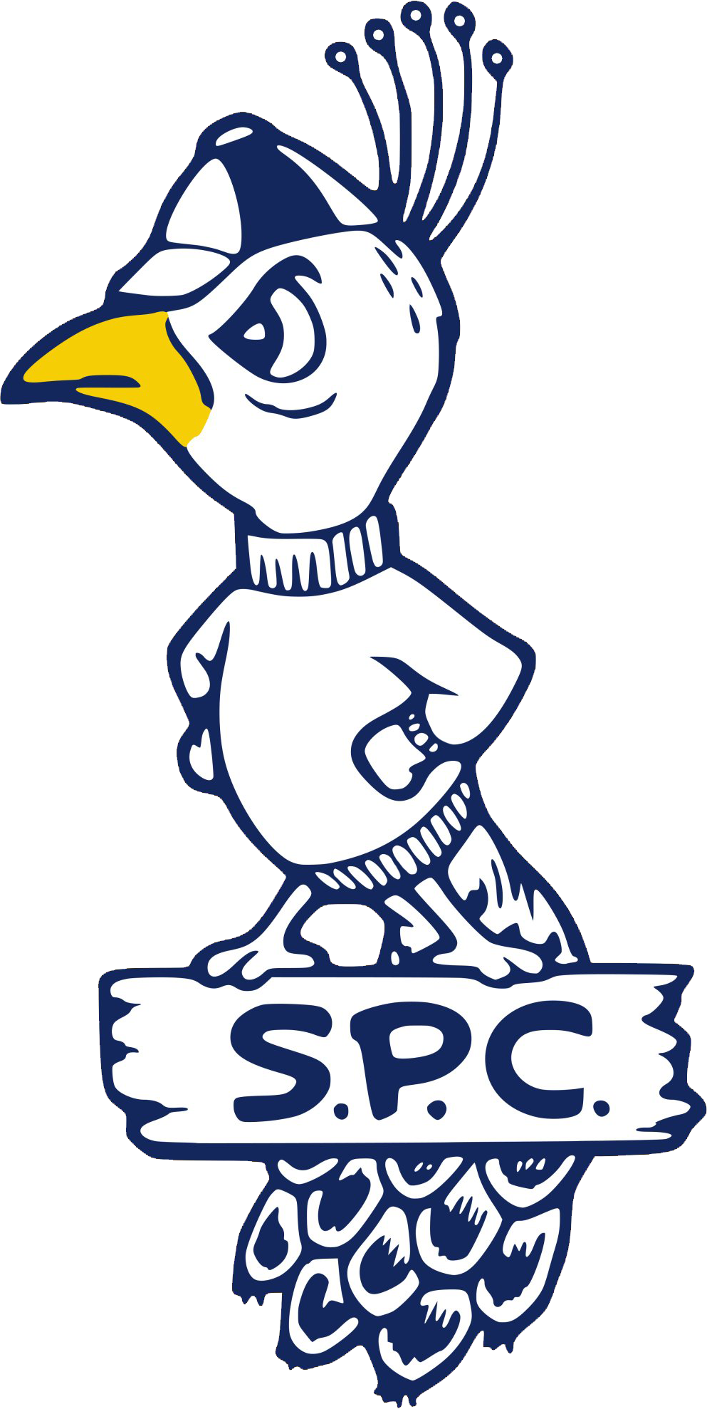 St. Peters Peacocks 1965-1982 primary logo diy iron on heat transfer